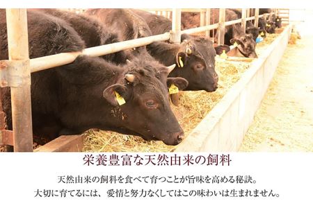 76-69新潟県産牛（長岡産）サーロイン1kgブロック