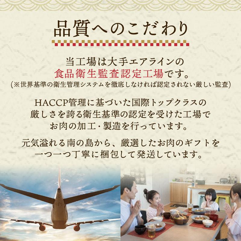 肉 もつ鍋 スープ ギフト 200g 冷凍便 牛肉 プレゼント 御祝 お歳暮 贈答 誕生日 お祝い 内祝い