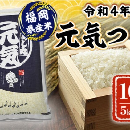 米 10kg 令和5年産 元気つくし 福岡県産 お米