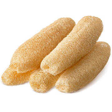 comet 健康天然絲瓜絡  5個  1入