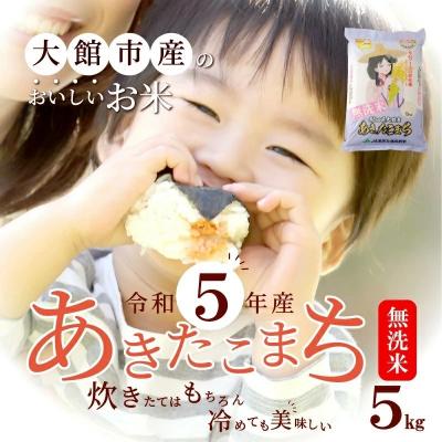 ふるさと納税 大館市 秋田県大館産あきたこまち　5kg(無洗米)