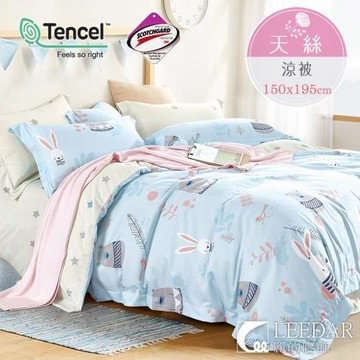 LEEDAR 麗的  守望   頂級使用吸溼排汗專利天絲涼被 150x195公分