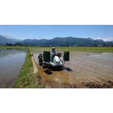 ふるさと納税 魚沼産しおざわコシヒカリ白米１０ｋｇ 新潟県南魚沼市