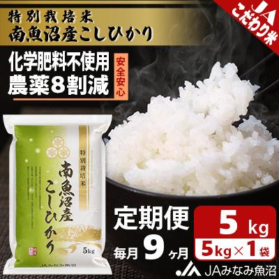 ふるさと納税 南魚沼市 特別栽培米南魚沼産こしひかり8割減 精米 5kg全9回