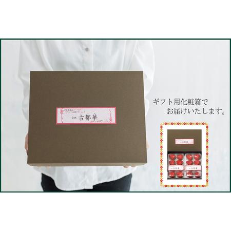 ふるさと納税 数量限定いちご 先行予約いちご 定期便いちご 2・3・4月発送 奈良県特産 高級ブランドいちご「古都華」旬の３ヶ月定期便    いちご.. 奈良県広陵町