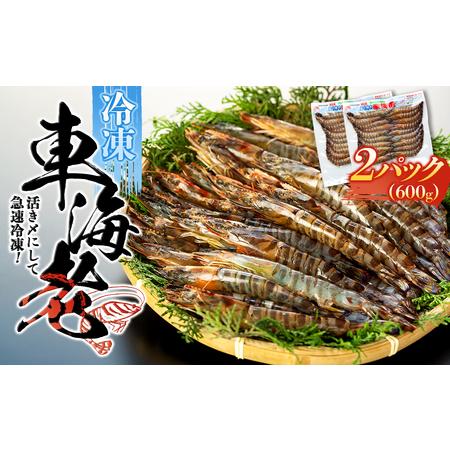 ふるさと納税 活き〆冷凍 車海老 Mサイズ 計600g  鹿児島県産 (養殖) 鹿児島県屋久島町