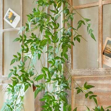 幼兒園森系掛件植物墻壁綠植田園風裝飾創意花藝室內家居客廳飾品