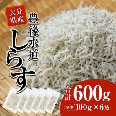 豊後水道産 しらす (合計600g・100g×6袋)