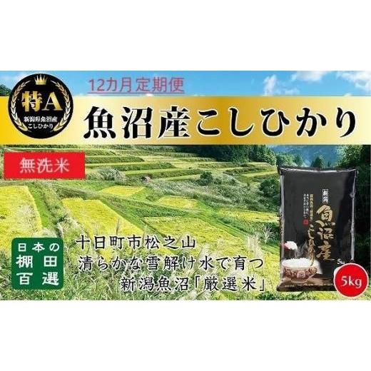 ふるさと納税 新潟県 十日町市 無洗米「12カ月定期便」日本棚田百選のお米　天空の里・魚沼産こしひかり　５ｋｇ×１２回