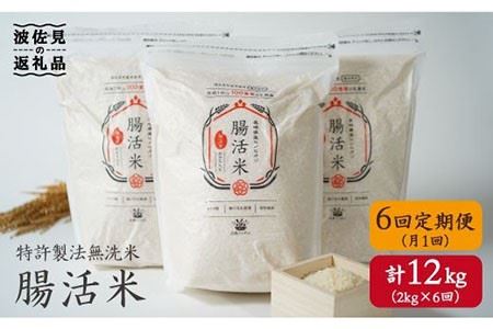 特許製法の腸活米 2kg×6回 計12kg（ 無洗米 ） [VD02]