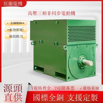 高壓三相異步電動機[DD2610001]
