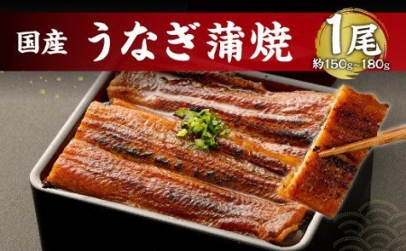 鹿児島産 うなぎ の 蒲焼き 1本 約150～180g 老舗130年の味