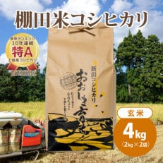 極少量米:数量限定令和5年産 新潟県上越市大島区産 棚田米コシヒカリ 4kg(2kg×2)玄米