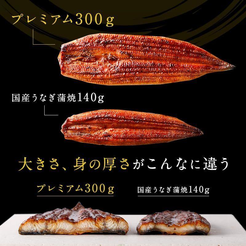 鰻楽公式 秋ギフト国産うなぎ蒲焼 プレミアム600g 4?6人前(たれ付き)