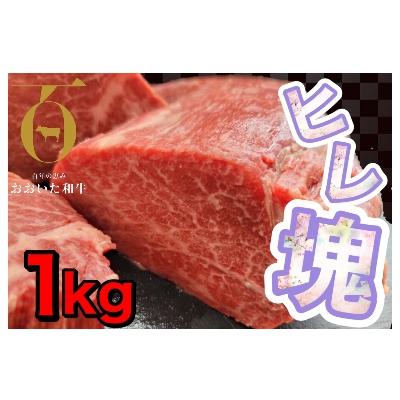 ふるさと納税 津久見市 おおいた和牛ヒレブロック約1kg