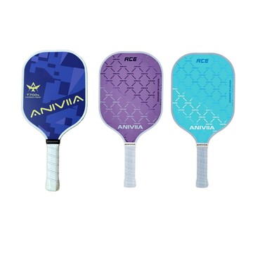 Aniviia 匹克球球拍 Voltic Ace 入門拍 日本Toray碳纖維T700s 新手球拍【iSport愛運動】