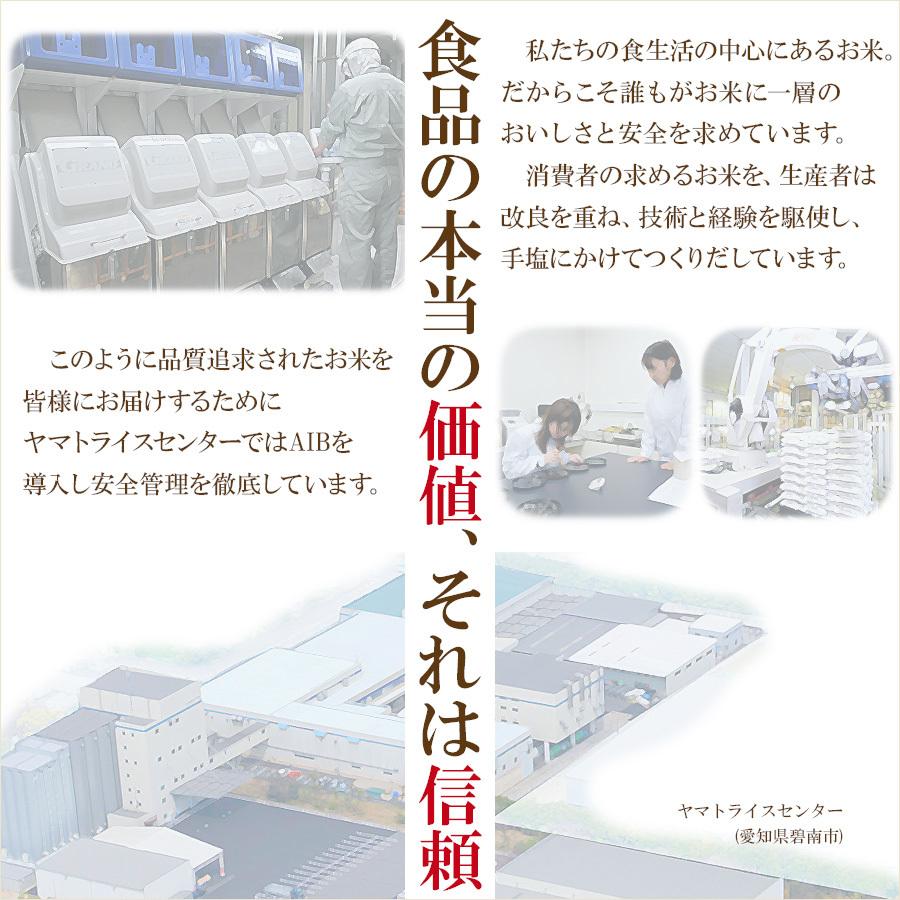 ヤマトライス 無洗米 北海道産 ななつぼし 5kg 令和4年産