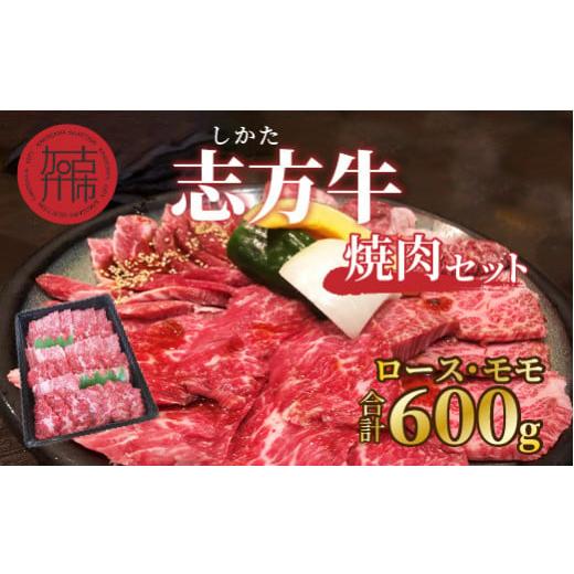 ふるさと納税 兵庫県 加古川市 志方牛焼肉セット（600g）