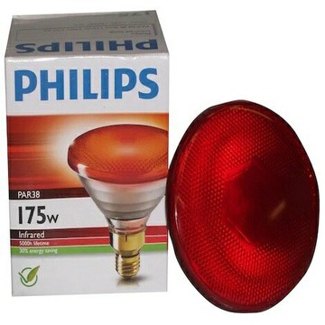 PHILIPS par38 ir red 175w 250W 紅外線溫熱燈泡 寵物保溫 中醫診所用 110V 220V