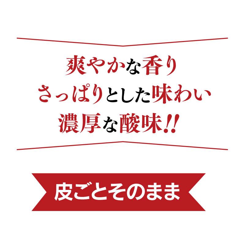 国産 レモン 熊本産 4kg 送料無料 リスボン ＜一週間から10日前後でお届け＞ れもん ノーワックス 防カビ剤不使用 産地直送 農家直送