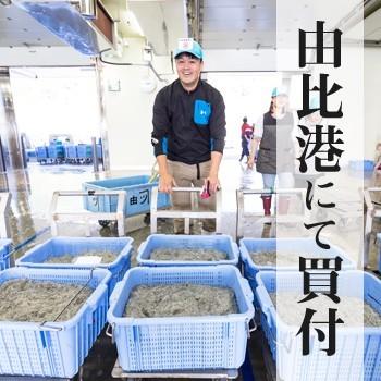 生桜えび200g×2、生しらす100g×3、セット　送料込　由比港水揚げ 駿河湾桜えび 静岡県産を安心して