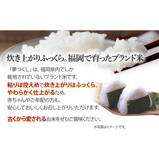 ふるさと納税 福岡県 田川市 新米 令和5年産　福岡県産ブランド米「夢つくし」無洗米　計20kg