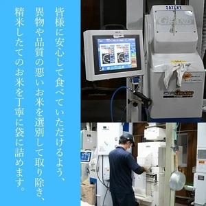 ふるさと納税 令和5年産 ひとめぼれ 無洗米 5kg×1袋　山形県庄内産　有限会社 阿部ベイコク 山形県鶴岡市