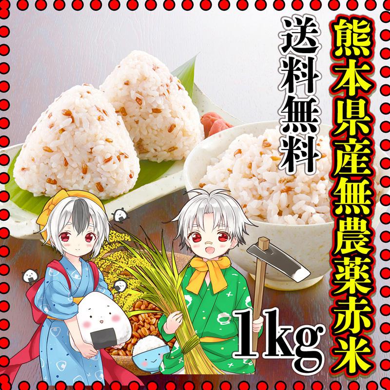 お米 米 1kg 玄米 送料無料 熊本県産 赤米 無農薬 あすつく 新米 令和5年産 古代米 くまもとのお米 富田商店 とみた商店