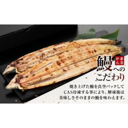 ふるさと納税 うなぎ白焼き2本セット（合計：250〜300ｇ) 和歌山県白浜町