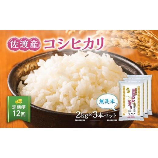 ふるさと納税 新潟県 佐渡市 無洗米佐渡産コシヒカリ2kg×3本セット×12回