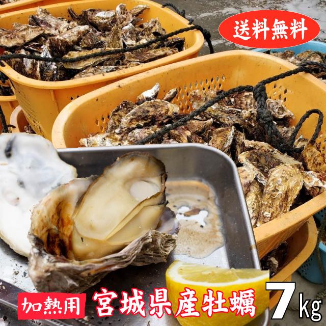 殻付き牡蠣 産地直送 宮城県産 7kg  送料無料 旬 活 かき