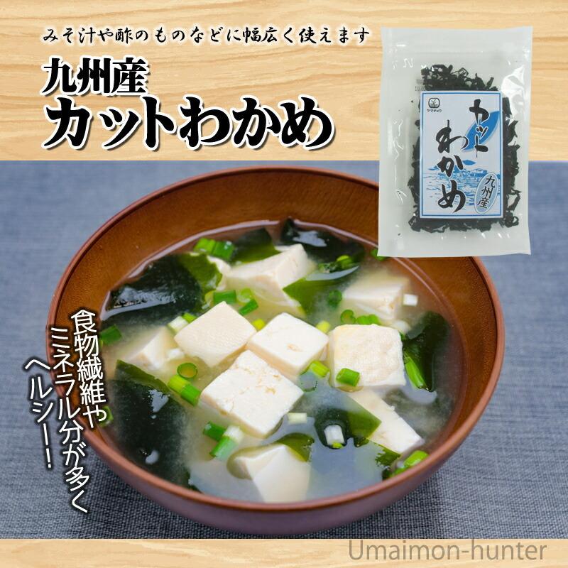 九州産 カットわかめ 20g×5袋 山忠 国産 九州産ワカメ 海藻