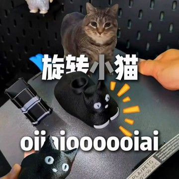 台現免運🛒旋轉鬼畜貓3d列印 oiiaio貓 疑惑貓趣味 旋轉貓咪 按壓螺紋 創意伸縮解壓道具 搞怪擺件