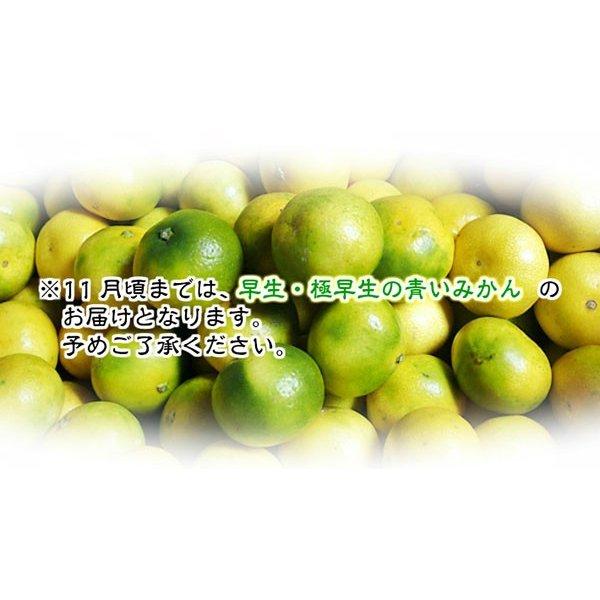 有田みかん 訳あり 10kg 和歌山県産 送料無料(北海道、沖縄県、東北地方除く) ミカン みかん 蜜柑 温州みかん ご自宅用 家庭用 果物 産地直送