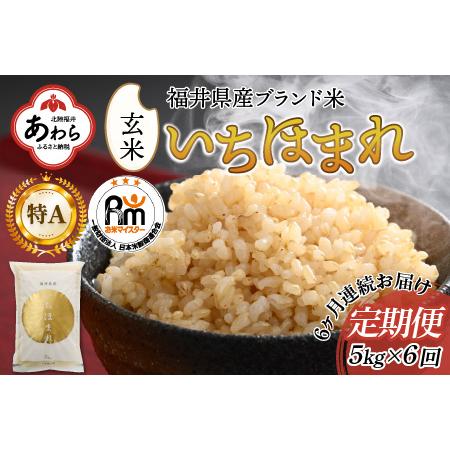 ふるさと納税 定期便6回 いちほまれ 玄米 5kg×6回（計30kg）《新鮮な高品質米をお届け！》／ 福井県産 ブランド米 ご飯 福井県あわら市