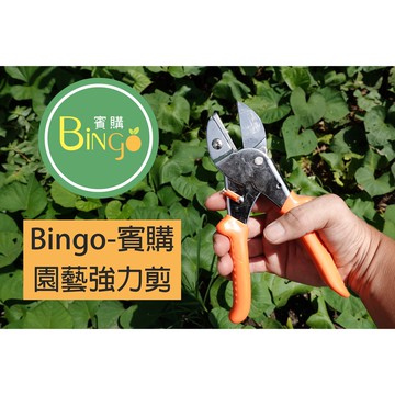 賓購 現貨 園藝強力剪 修枝剪 果樹剪 藝剪刀 省力剪刀 枝枒剪 檳榔剪 花藝剪 果梗剪 採果剪刀 枝條剪 高硬度碳鋼