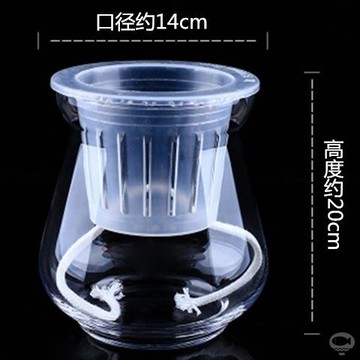 懶人自動吸水花盆玻璃花瓶土養水培兩用桌面小綠植盆栽通用替換盆