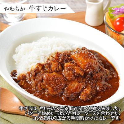 ふるさと納税 弟子屈町 弟子屈牛すじカレー(中辛) 10個 779