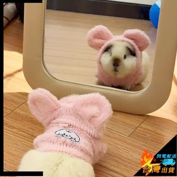 【台灣出貨】寵物衣服 小寵服裝 仿貂絨 荷蘭豬衣服 冬季保暖 加厚連帽馬甲 豚鼠 天竺鼠 小寵用品