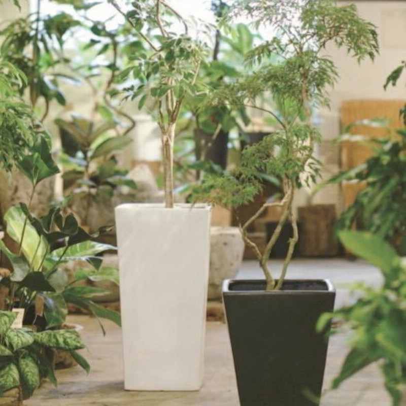 植木鉢 おしゃれ 陶器鉢 トールスクエア S (2色) 25cm 8号 穴