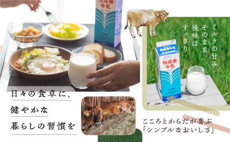 乳製品 定期便 6回＜牧成舎＞牛乳 ヨーグルト チーズ よりどりミニセット 4種 飛騨産生乳で作ったこだわりの乳製品セット 単身用 一人暮らし 2人暮らし ギフト まとめ買い [Q1941]