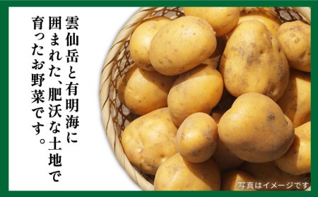 地元の農家さんが収穫した旬のお野菜 詰め合わせセット 地元の農家さんが収穫した旬のお野菜 詰め合わせセット 野菜定期便 野菜詰め合わせ   南島原市    ミナサポ[SCW047]