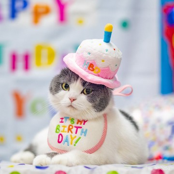 [24時熱賣]寵物生日服飾 2022亞馬遜跨境新品寵物生日帽子刺繡狗狗派對帽貓配飾節日蛋糕帽 I7XQ