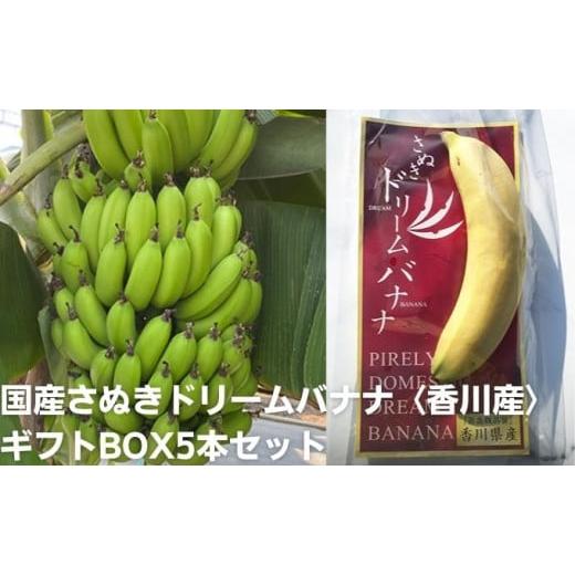 ふるさと納税 香川県 宇多津町 国産さぬきドリームバナナ〈香川産〉ギフトBOX5本セット