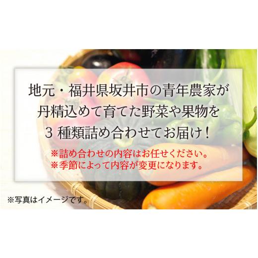 ふるさと納税 福井県 坂井市 若狭牛焼肉 赤身三種 食べ比べセット 〜地元青年農家の野菜・果物付き〜 [D-1803]