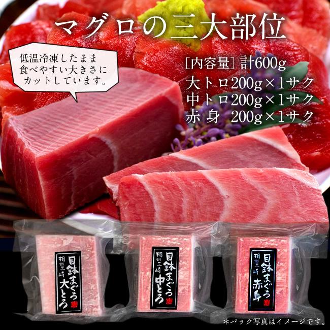 まぐろ 天然 メバチマグロ 三大部位 詰合せ 600g［大トロ1、中トロ1、赤身1］鮪セット 刺身用 三浦三崎 マグロ 詰め合わせ［お歳暮 ギフト プレゼント］