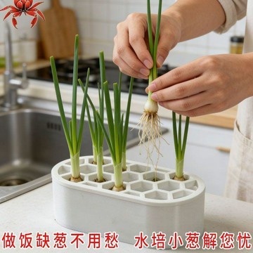 爆款🌟臺灣出貨🌟跨境熱銷蔥花水培套裝免土免技巧快速收割陽臺窗臺家庭種植盒