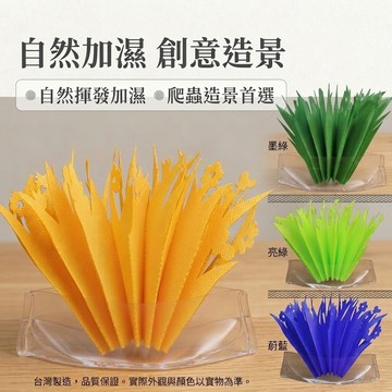 陸龜驛站｜加濕器 加濕草 爬蟲 爬寵 兩棲 陸龜 烏龜 水龜 守宮 蜥蜴 蛇 球蟒 鬆獅 爬蟲加溼器加濕草陸龜加溼