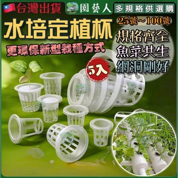 【園藝人】定植杯 水耕盆栽 定植器 水耕 水培花盆 水培 魚菜共生 無土栽培 定植盆 定植藍 水培定植 水耕植物盆栽