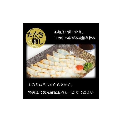 ふるさと納税 山口県 下関市 ふぐ たたき 刺身 一汐干し 天然 冷凍  真ふぐ まふぐ てっさ 本場フグ刺し 河豚 高級魚 鮮魚 本場 下関 山口  旬 お取り寄せ ギ…